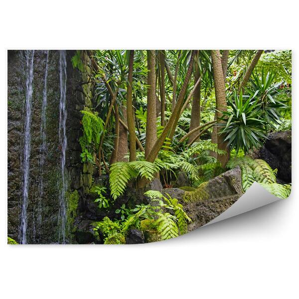 Fototapet Deal Madeira, Cascadă, Stânci, Palmieri, Ferigi, Plante Exotice