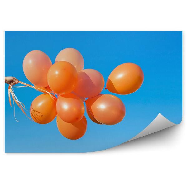 Fototapet perete Baloane Portocalii Pentru Cer