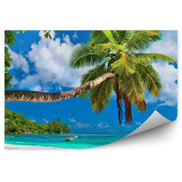 Fototapet pentru perete Plajă Palmieri Insulă Barcă Cer Nori Seychelles