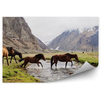 Decor fototapet Munți Turmă De Cai Râu Iarbă Zăpadă