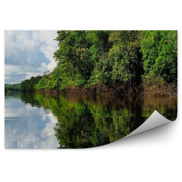 Decor fototapet Pădure Tropicală Râu Cer Nori Amazonia