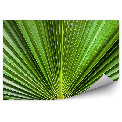 Fototapet vintage Frunza Exotică Întinsă Verde