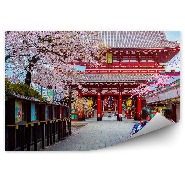 Fototapet pentru perete Sakura nature city japan geishas kimonos