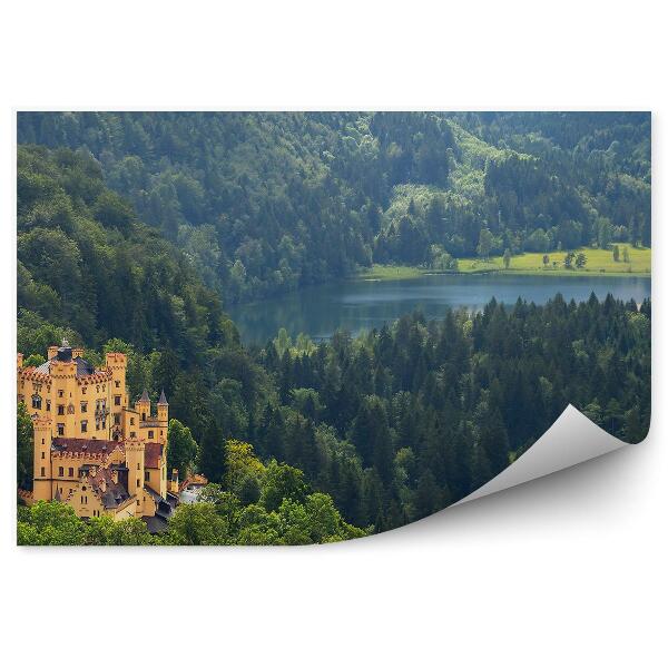 Fototapet perete Castelul Hohenschwangau Alpii Bavari Lac Conifere Munți