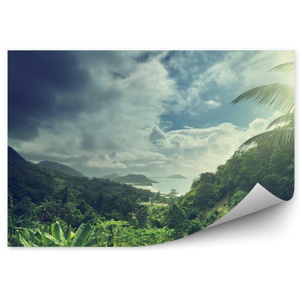 Decor fototapet Junglă Ocean Stânci Cer Nori Palmieri Seychelles