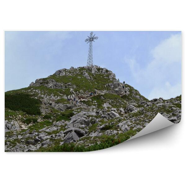 Fototapet pentru perete Cruce Giewont, Stânci, Plante, Priveliște, Munți, Munții Tatra