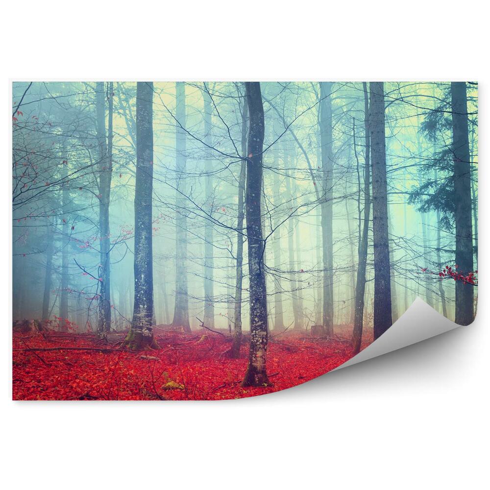 Fototapet vintage Frunze Roșii Toamna Întunecată Ramuri De Copaci De Pădure