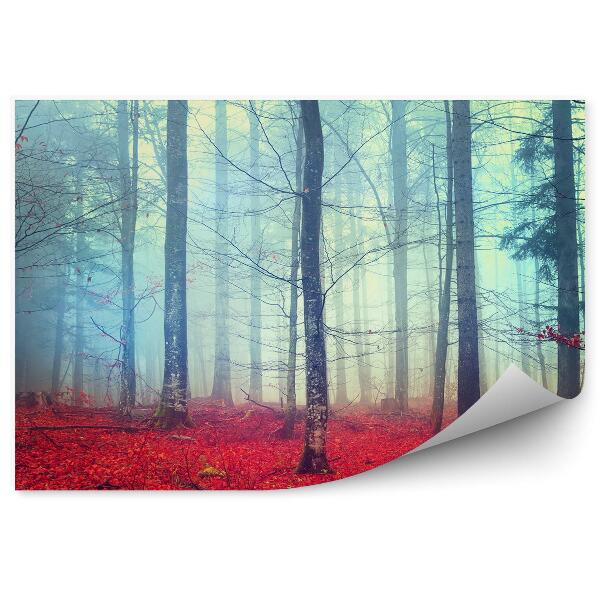 Fototapet vintage Frunze Roșii Toamna Întunecată Ramuri De Copaci De Pădure