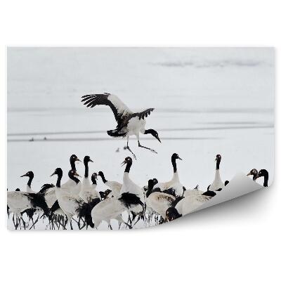 Fototapet vintage Stol De Macarale În Zăpadă