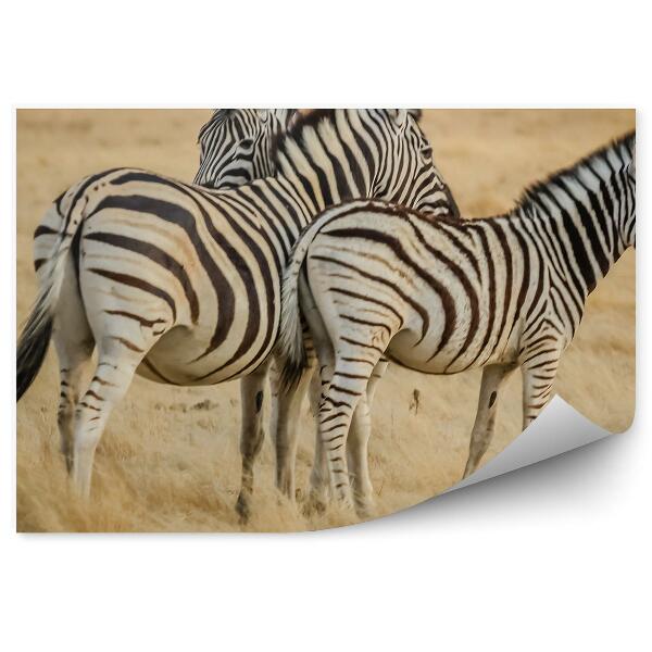 Decor fototapet Zebra În Africa