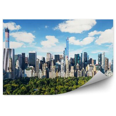 Fototapet Zgârie-Nori Copaci Cer Nori Vedere Central Park New York