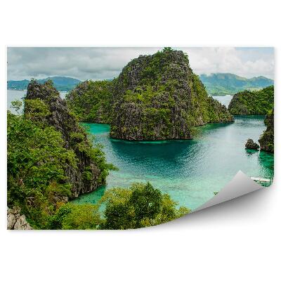 Fototapet perete Bărci case plante apă munți stânci