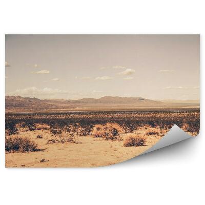 Fototapet Deșertul California De Sud