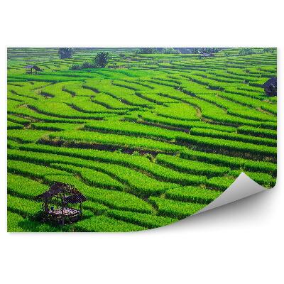 Decor fototapet Terase de orez, câmpuri verzi, case de lemn