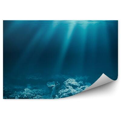 Fototapet vintage Recif De Corali Pe Fundul Oceanului Cu Razele Soarelui