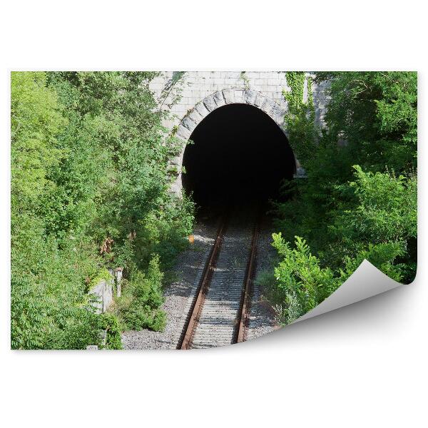 Fototapet vintage Tunel șinele feroviare tufișuri naturale