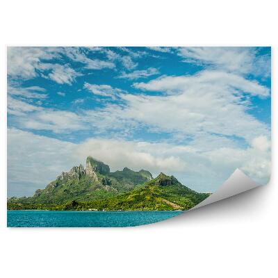 Fototapet vintage Vegetația Verde A Dealului Insulei