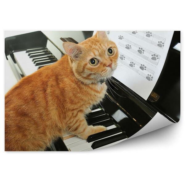 Fototapet Cat Cântând La Pian Note Muzicale Amuzant