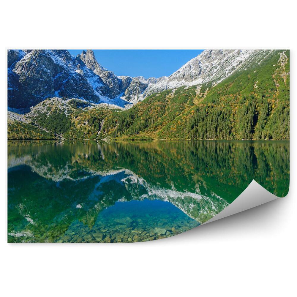 Fototapet pentru perete Pietre În Lacul Morskie Oko, Peisaj Montan