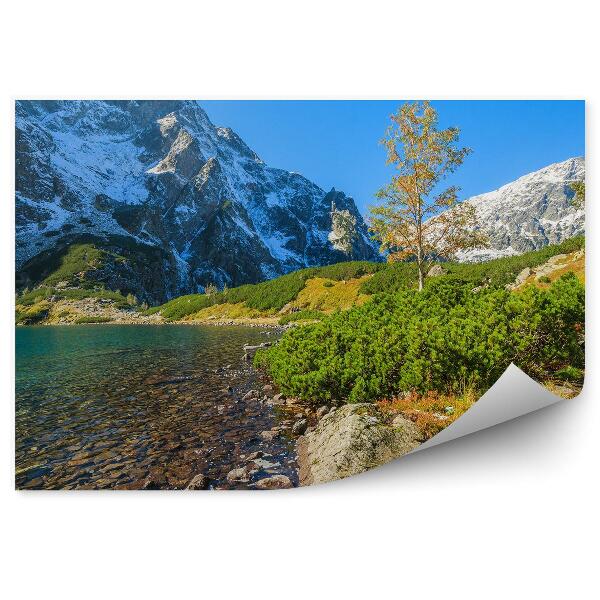 Fototapet Suprafața Apei Verzi În Morskie Oko Tatry