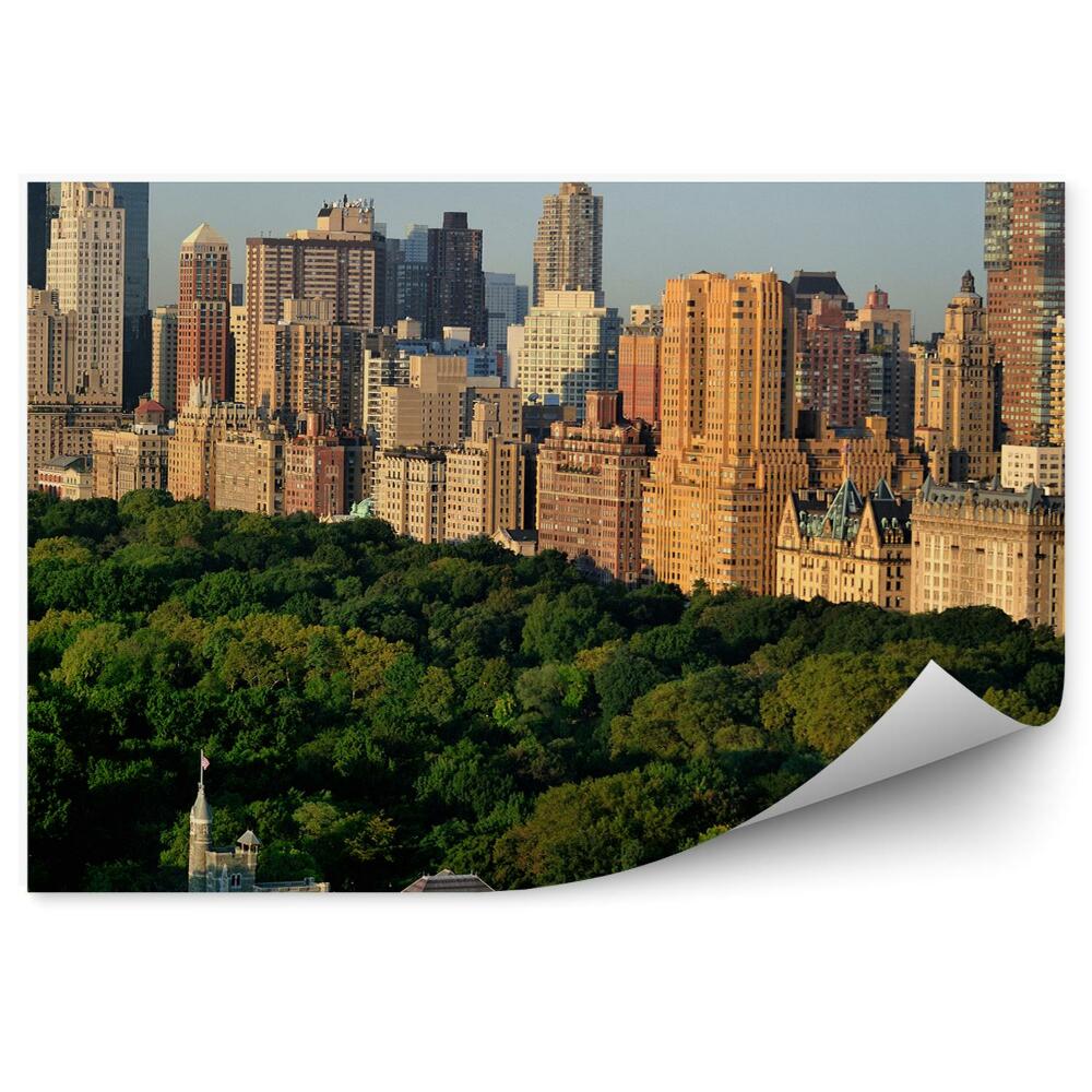 Fototapet vintage Castelul Belvedere Copaci Zgârie-Nori Vedere New York