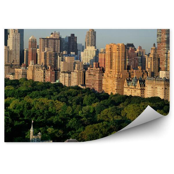 Fototapet vintage Castelul Belvedere Copaci Zgârie-Nori Vedere New York