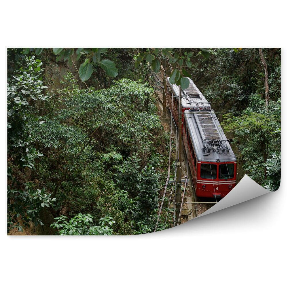 Fototapet Tren roșu brazilian junglă natura vegetație