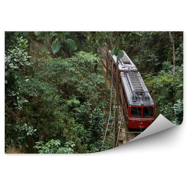 Fototapet Tren roșu brazilian junglă natura vegetație