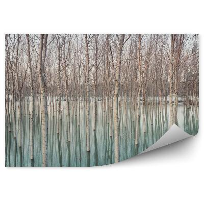 Fototapet Mesteacăni În Satul Inundat Model Natural