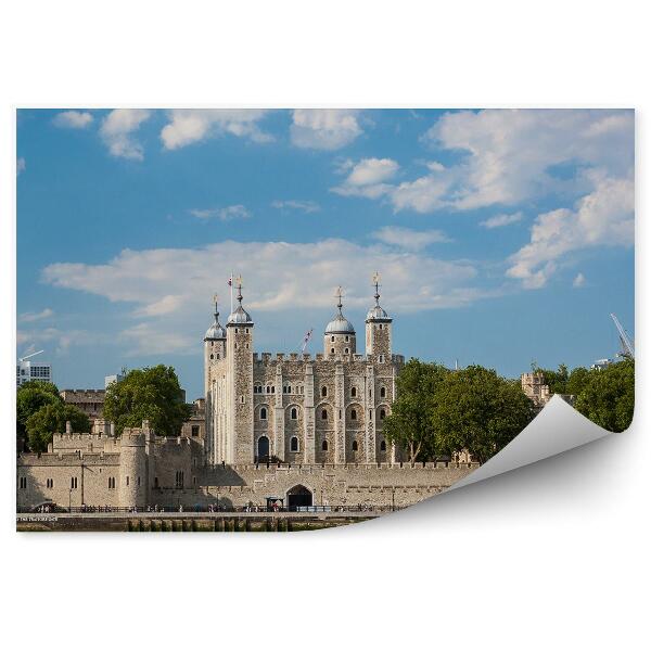 Fototapet perete Cetate Turnul Tamisa Clădiri Copaci Cer Nori Londra