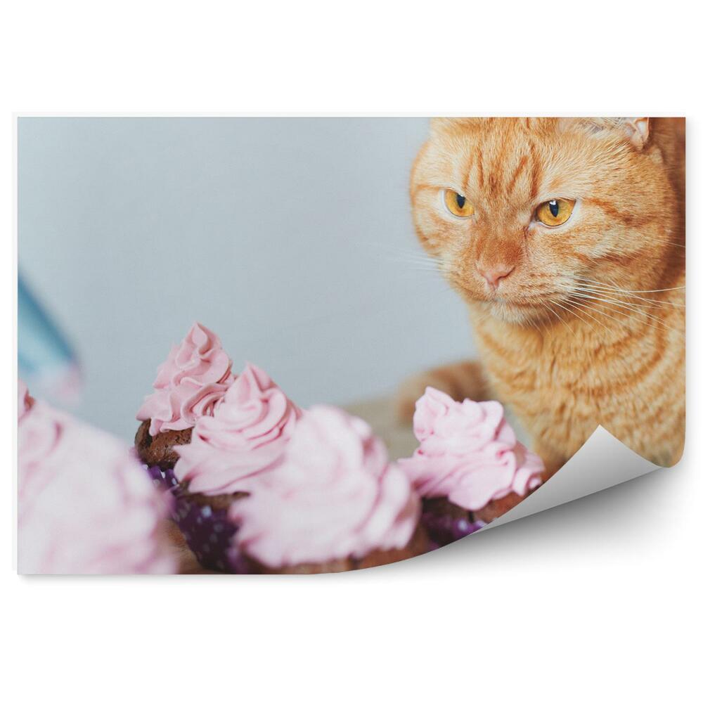 Fototapet perete Produse de patiserie dulci desert cupcakes cat