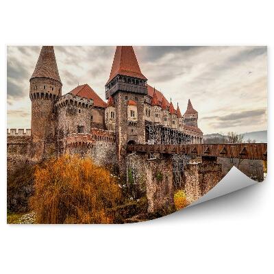 Fototapet România castel vechi ruine pod