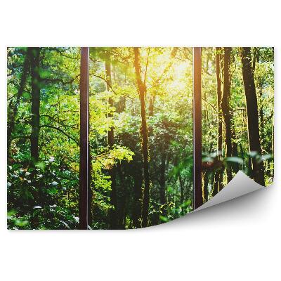 Decor fototapet Ferestre Mari Cu Vedere La Vegetația Verde A Pădurii