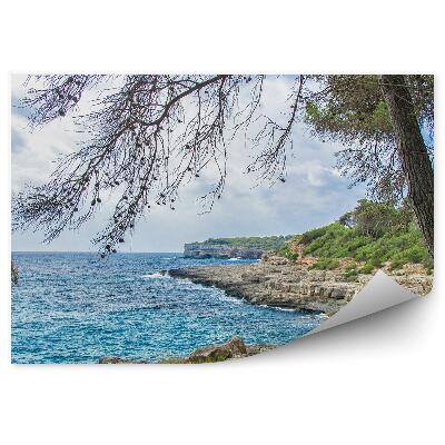 Fototapet pentru perete Frumoasa Coastă Tropicală Sălbatică