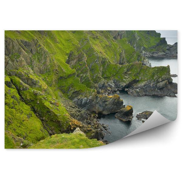 Fototapet perete Peisaj Scoțian Coasta Shetland Verde Natură Ocean