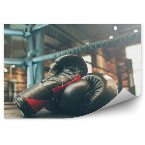 Fototapet pentru perete Bărbați mănuși de box inel