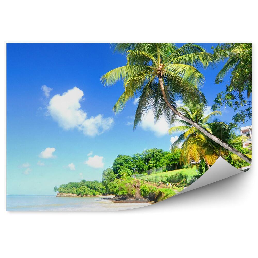 Decor fototapet Marea Caraibelor Palmieri Natura Clădire Cer Nori