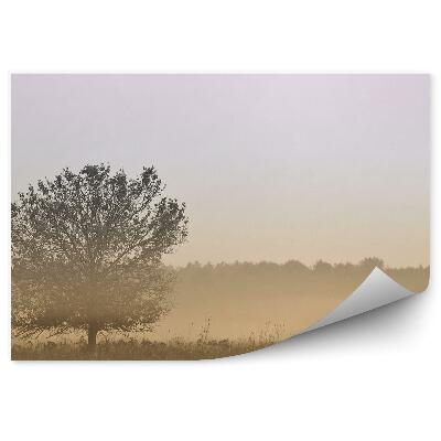 Fototapet vintage Ceață Cu Iarbă De Copac