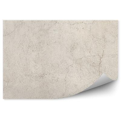 Fototapet pentru perete Perete De Beton Crăpat Decolorat