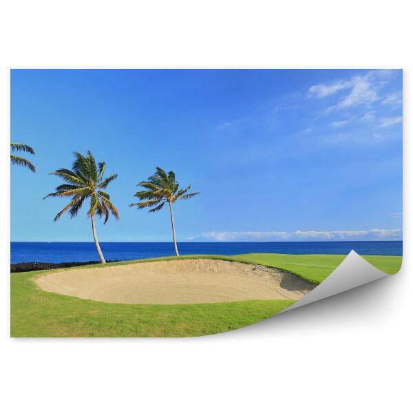 Fototapet vintage Hawaii Teren De Golf Ocean Cer Nori