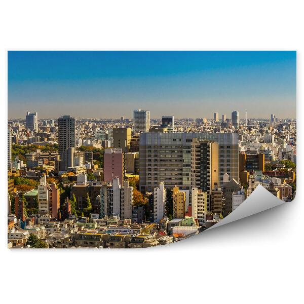 Fototapet perete Zgârie-Nori Cer Tokyo Japonia