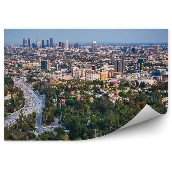 Decor fototapet Vedere Aeriană Arborii Din Los Angeles Mașini Rutiere