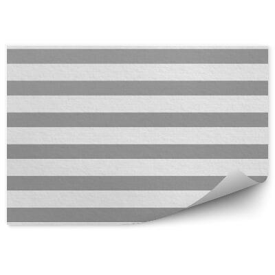Fototapet pentru perete Dungi Gri Și Albe