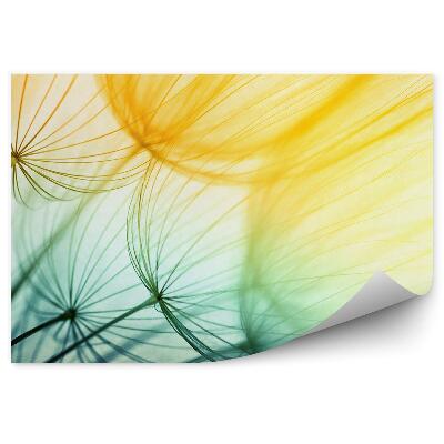 Fototapet perete Seminte de flori de papadie