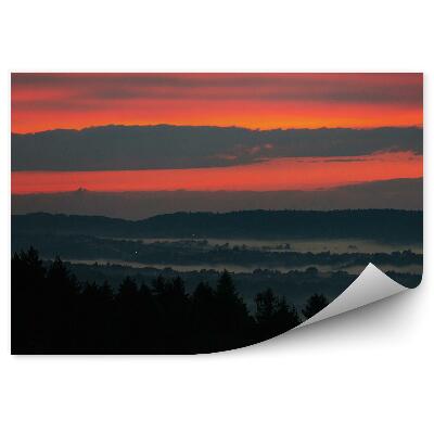 Fototapet perete Apus De Soare Conifere Ceață