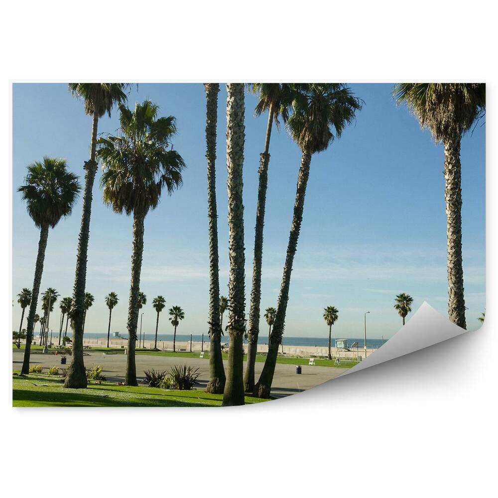 Decor fototapet Palmieri Sky Road Ocean Palmieri California