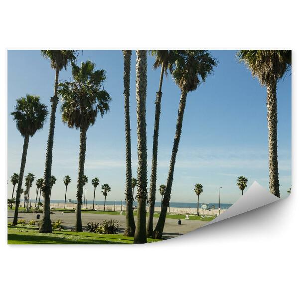 Decor fototapet Palmieri Sky Road Ocean Palmieri California