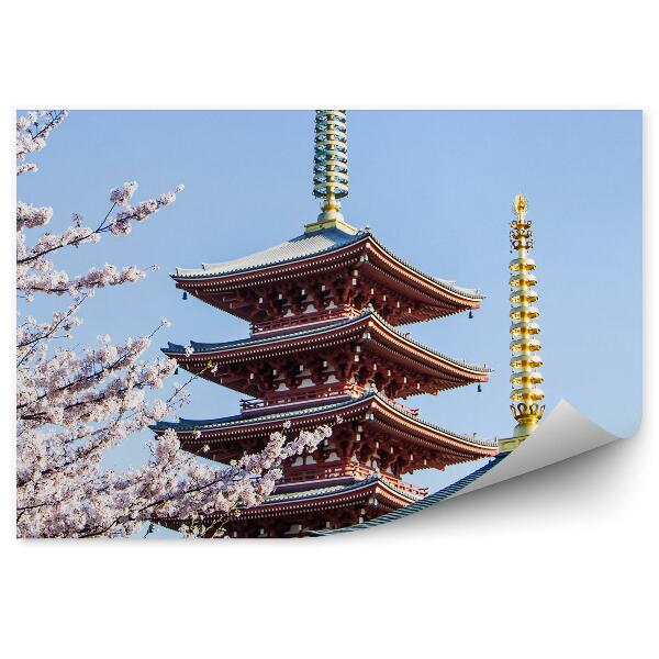 Decor fototapet Asakusa, Japonia, cultura templelor sakura