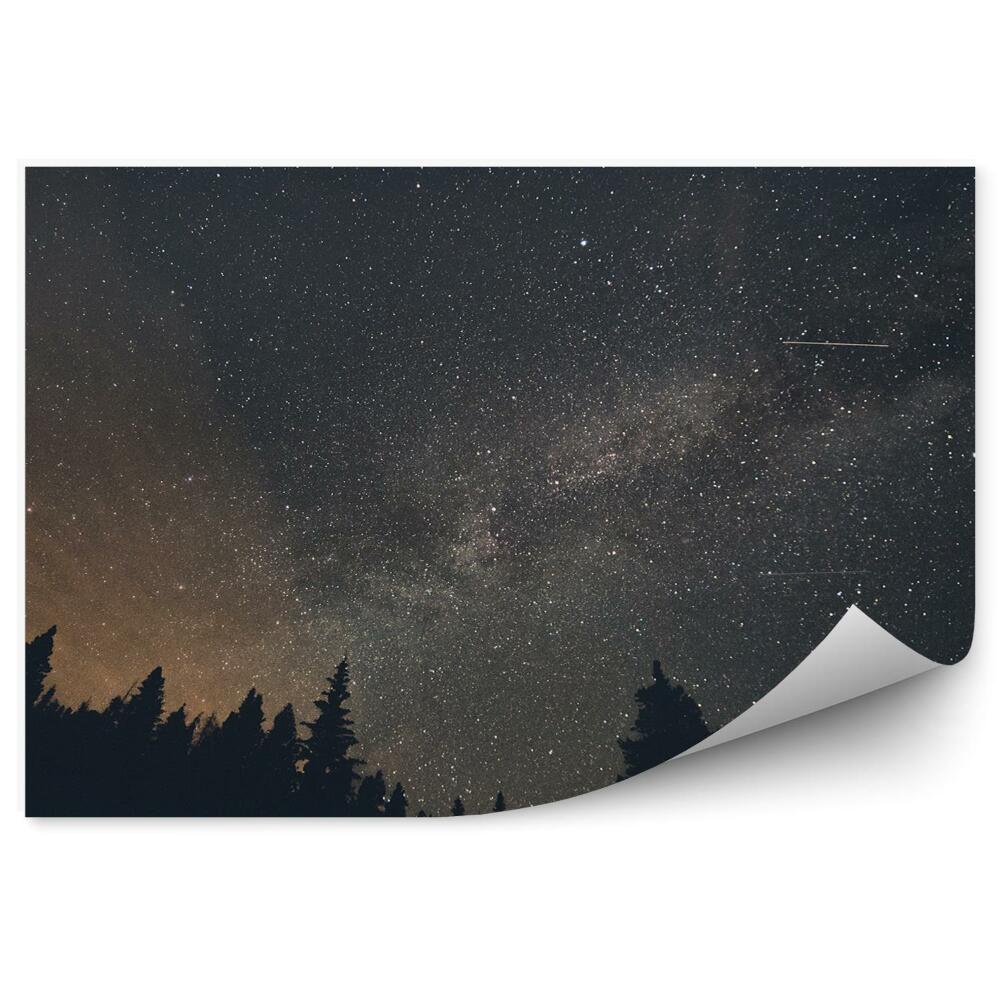 Decor fototapet Stele Breckenridge Pădure Umbre Cer Calea Lactee