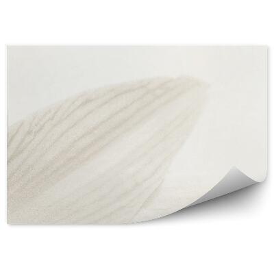 Decor fototapet Petale de crin gri fundal alb